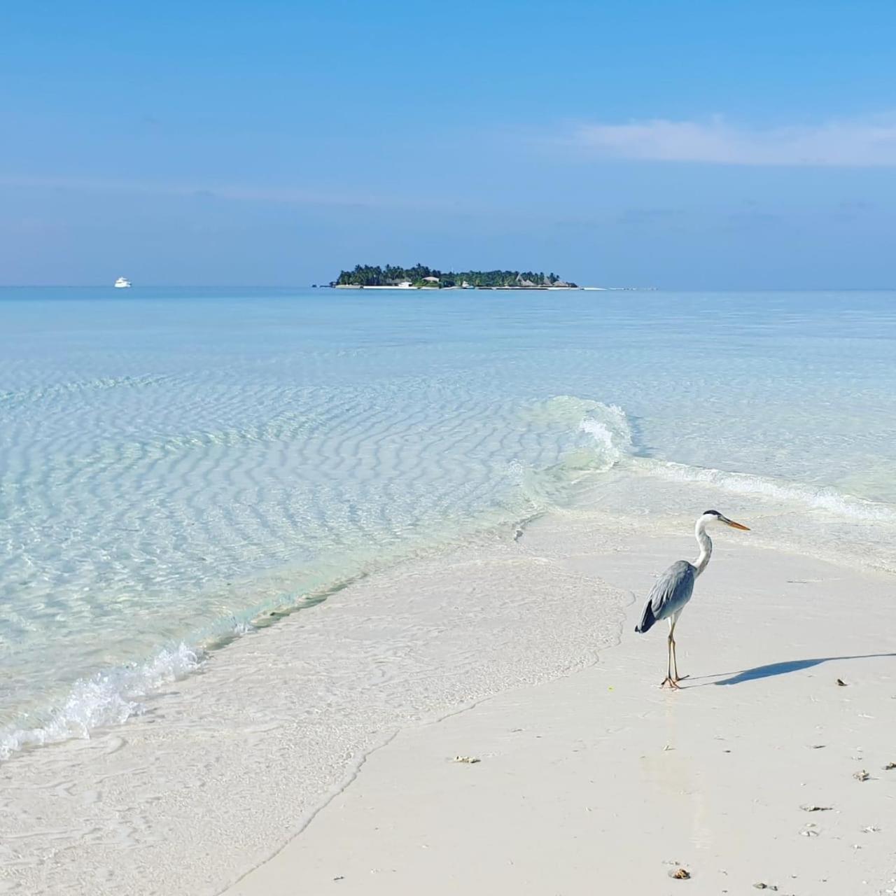 Ukulhas Villa Beach Hotel מראה חיצוני תמונה